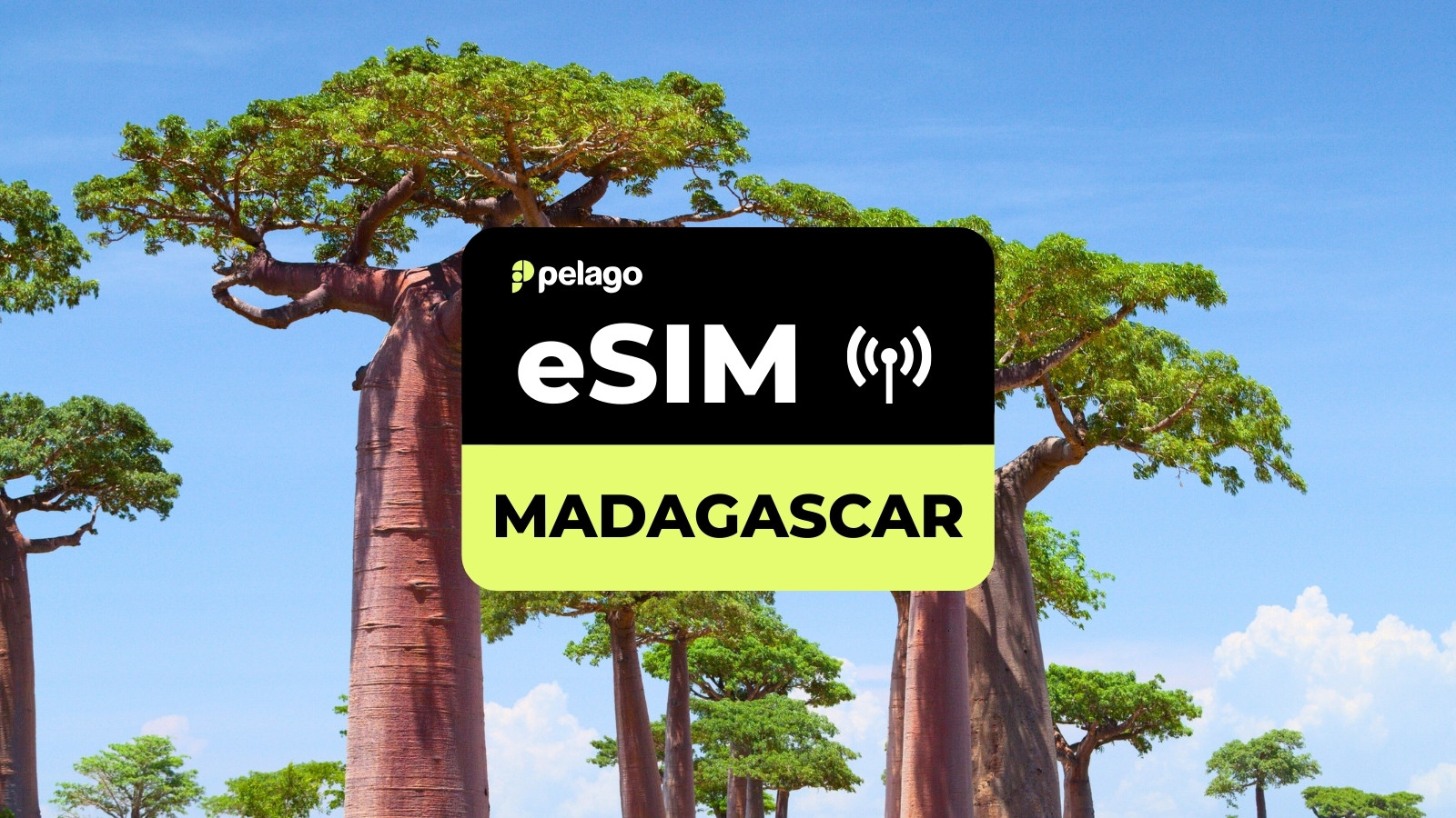 Madagascar eSIM by Pelago - Photo 1 of 4