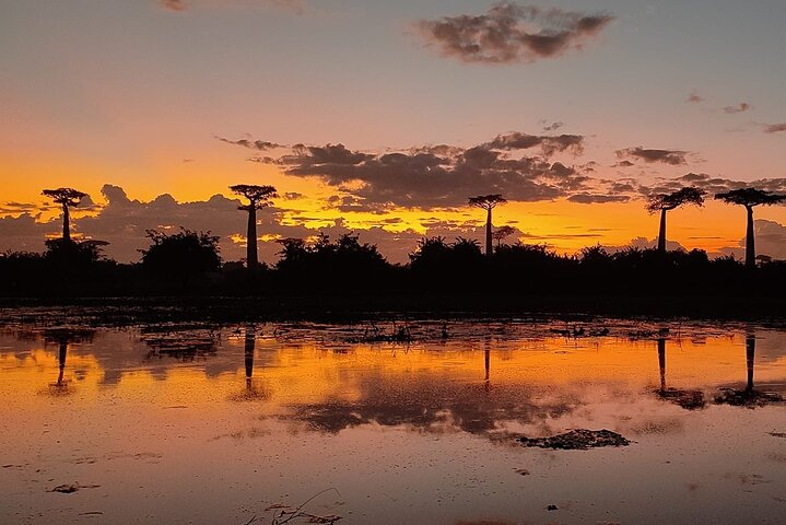 Private 7-Day Malagasy Essentials Tour - Photo 1 of 5