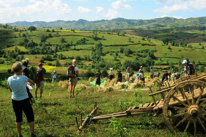 Kalaw One Day Trekking Tour - Photo 1 of 6