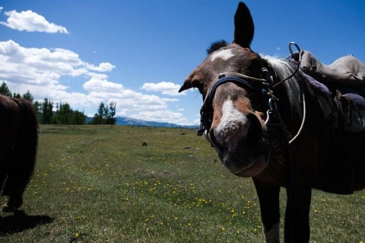10 Days Horse Trekking, Khentii - Photo 1 of 7