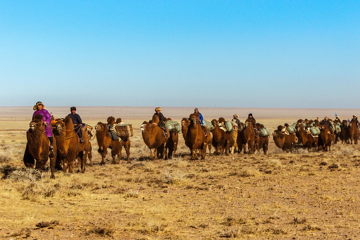 11 Days Camel Caravan of South Gobi  - Photo 1 of 12