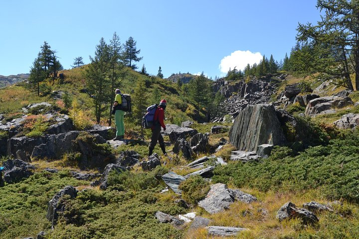 16 Days From desert to steppe - Photo 1 of 8