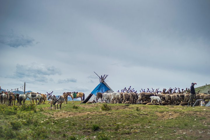 19 Days Horse trekking among the reindeer herders - Photo 1 of 13