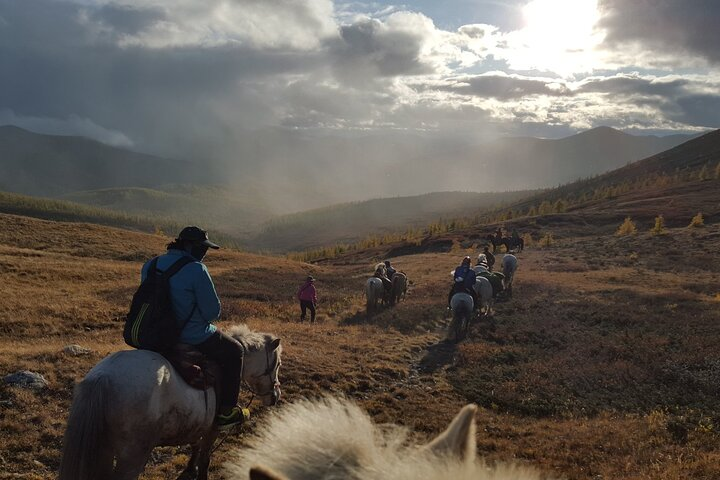 5 Day experience how to ride a horse , Real Mongolian experience - Photo 1 of 13