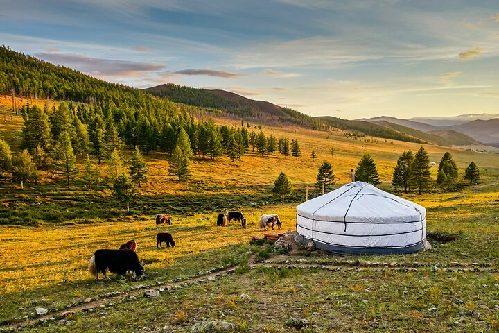 Private 8 Days Mongolia Tour with Nomadic Gobi & Nature - Photo 1 of 9