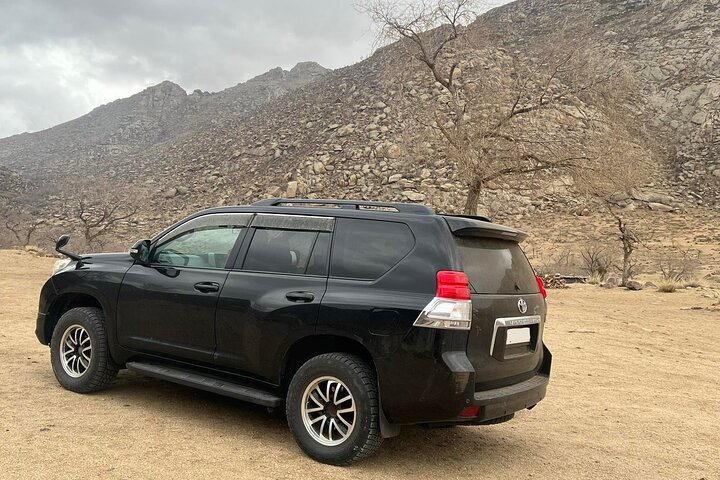 Full Day Private Jeep Tour to Elsen Tasarkhai, Semi-Gobi - Photo 1 of 6