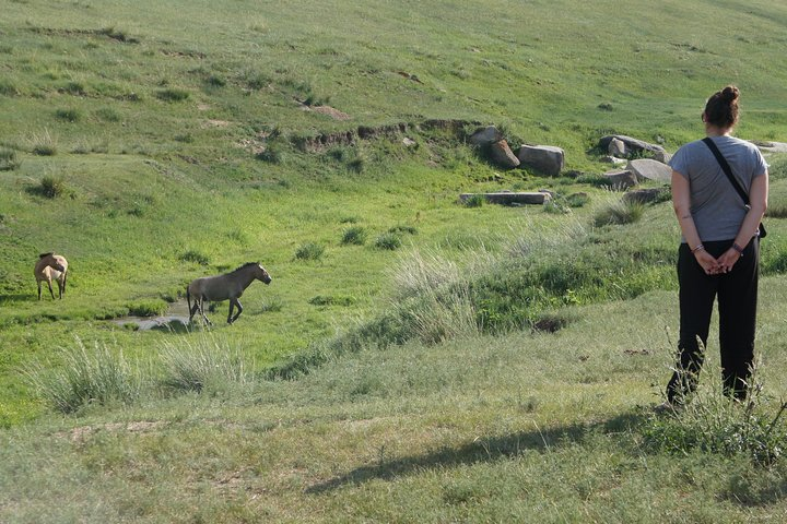Wild horses of Khsutai National Park