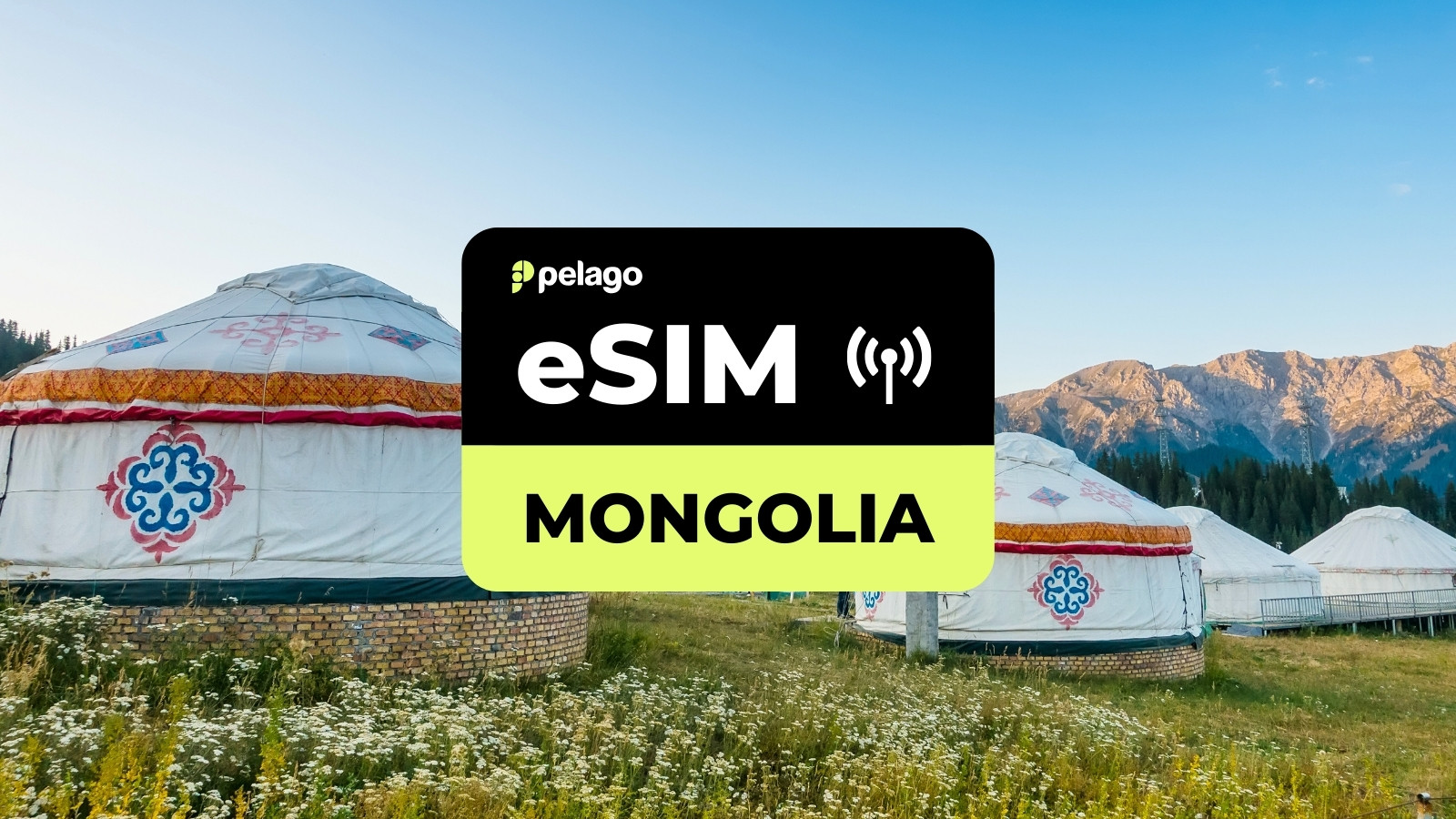Mongolia eSIM by Pelago - Photo 1 of 4