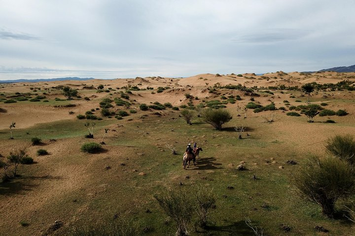 Overnight Semi-Gobi, Khustai National Park - Photo 1 of 8