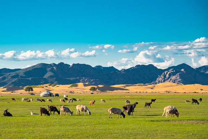 Essence of Mongolia 4 Days - Photo 1 of 12