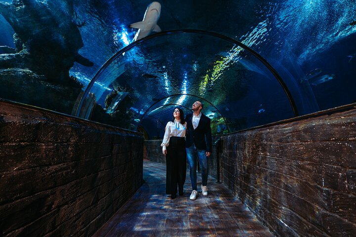 Malta National Aquarium Entrance Ticket - Photo 1 of 7