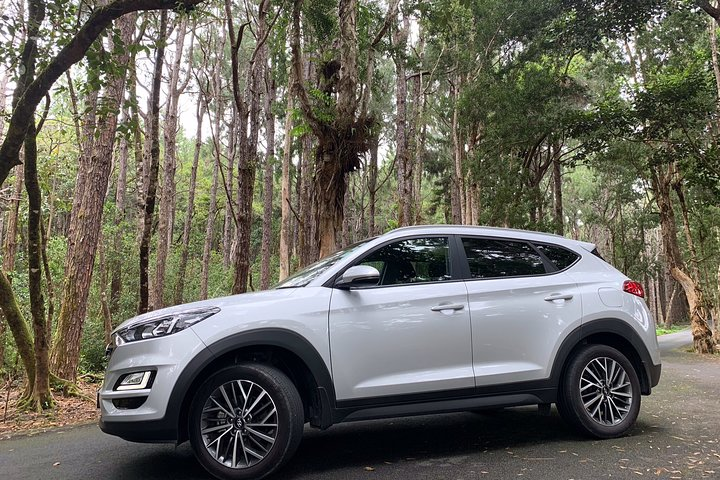 Full Day Private custom Tour with Drive-Guide in Mauritius - Photo 1 of 8