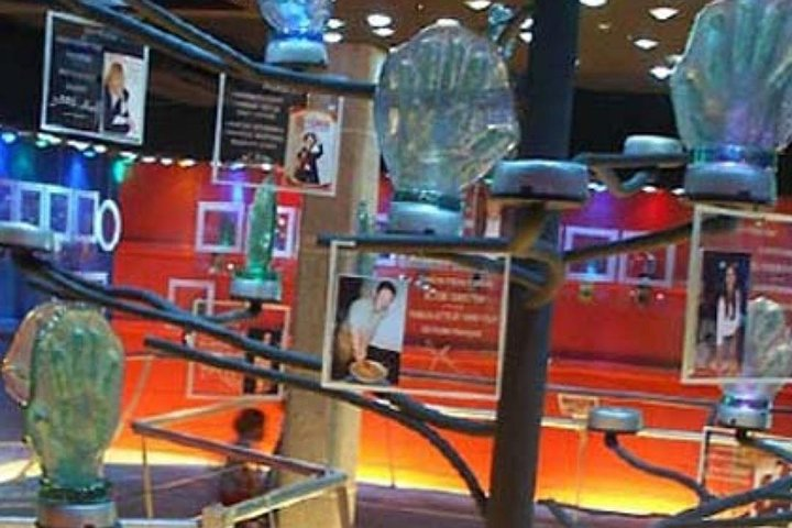 Full Day South Tour- Glass Gallery, Crocodile Park, Tea Factory, Gris Gris etc.. - Photo 1 of 6