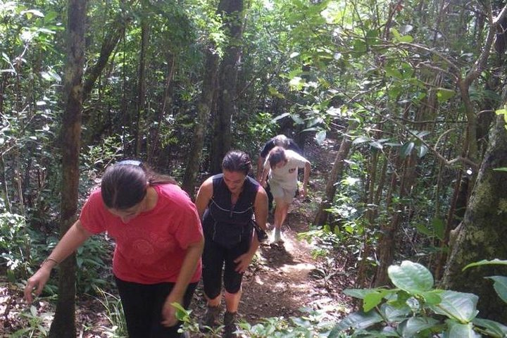 Hiking Trip - Black River Gorges Park - Photo 1 of 3