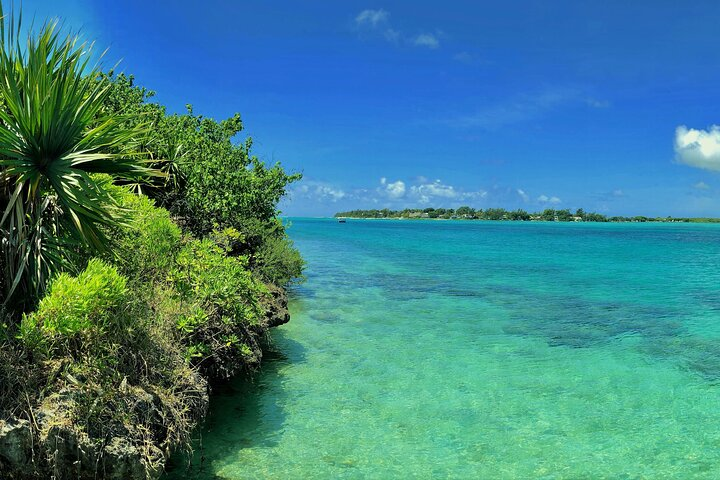 Ile aux Aigrettes Coast