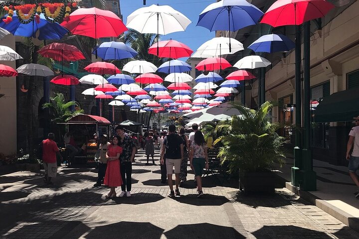 Mauritius full day : Private north tour  - Photo 1 of 4