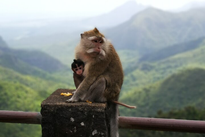 Mauritius Guided South tour (Private) - Photo 1 of 14