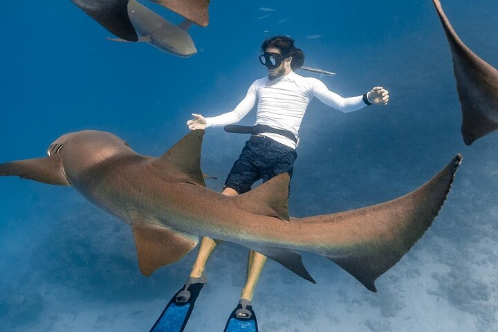 Discover Maafushi in 4 Nights 5 Days (Tour B) - Photo 1 of 15