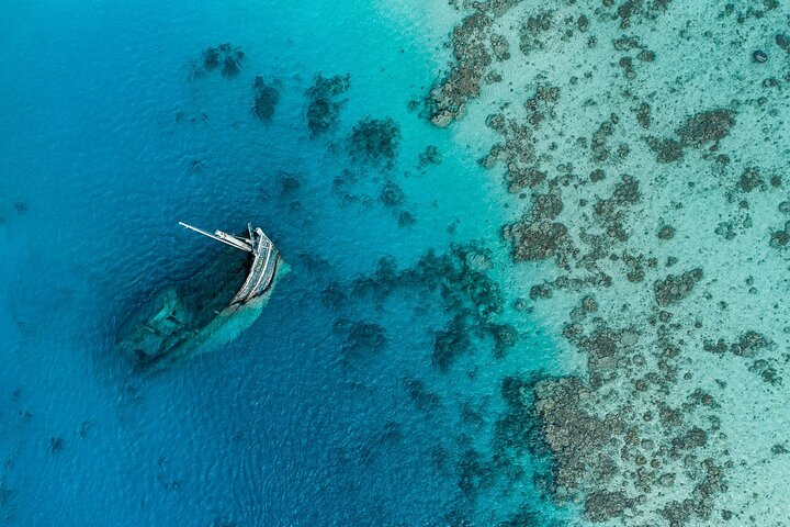 Maafushi: Ship wreck & Nurse shark snorkeling with Dolphin watching - Photo 1 of 17