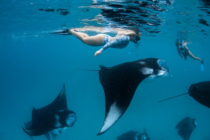 Snorkeling with Manta Rays from Maafushi - Photo 1 of 8