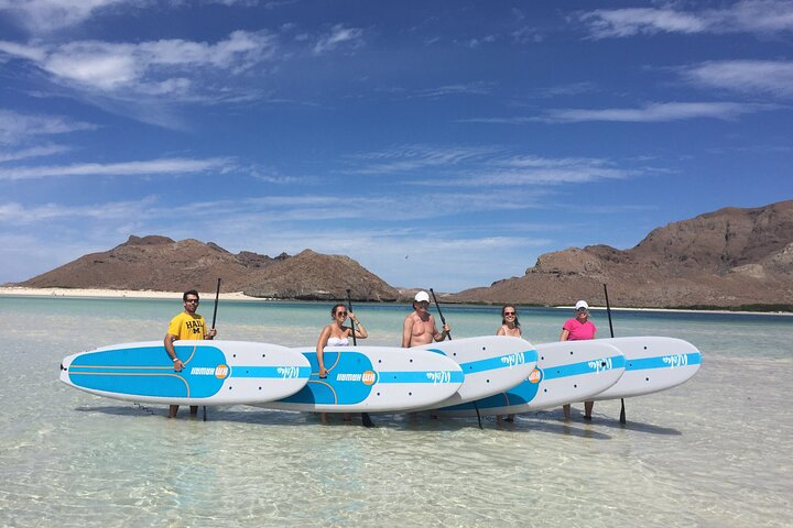 1-6 Private Group Rate Tour: Espiritu Santo Island, Sea Lions and Paddleboarding - Photo 1 of 14