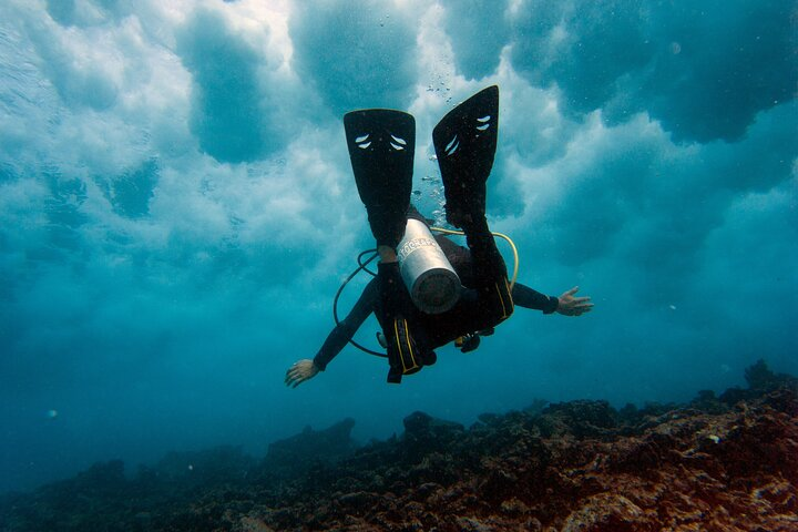 Scuba Diving (1st time) in Cancun Beginner's WELCOMED! - Photo 1 of 9