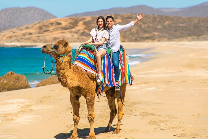 2-Hour Camel Ride Beach and Desert Adventure Experience - Photo 1 of 6