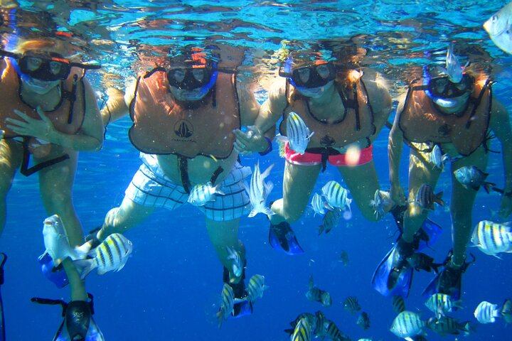 2 Hour Diving in Sunset Restaurant and Coral Gardens with Lunch - Photo 1 of 7