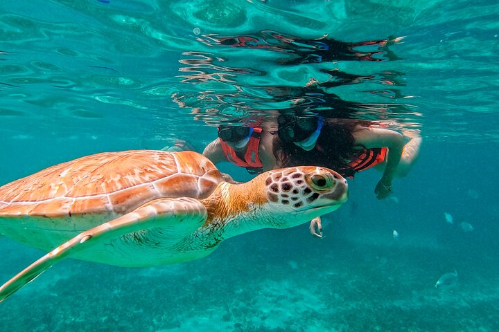 Unforgettable encounters