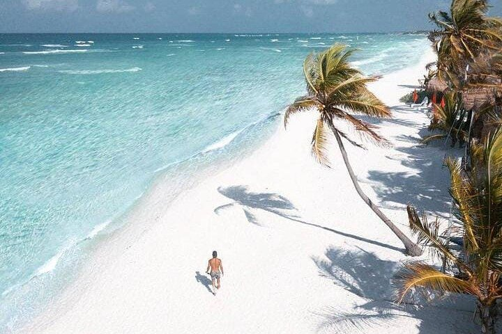 2x1 Tour: Isla Contoy, Isla Mujeres, Open Bar, Lunch and Transfers - Photo 1 of 8