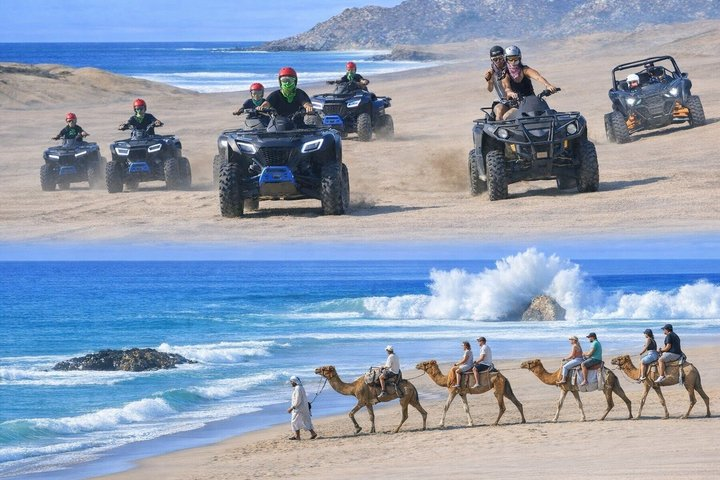 3-Day Cabo San Lucas Play Pass: Do Cabo Your Way - Photo 1 of 24
