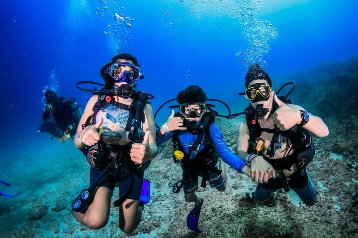 3 Day Scuba Diving Experience with 4 Immersion Courses - Photo 1 of 7