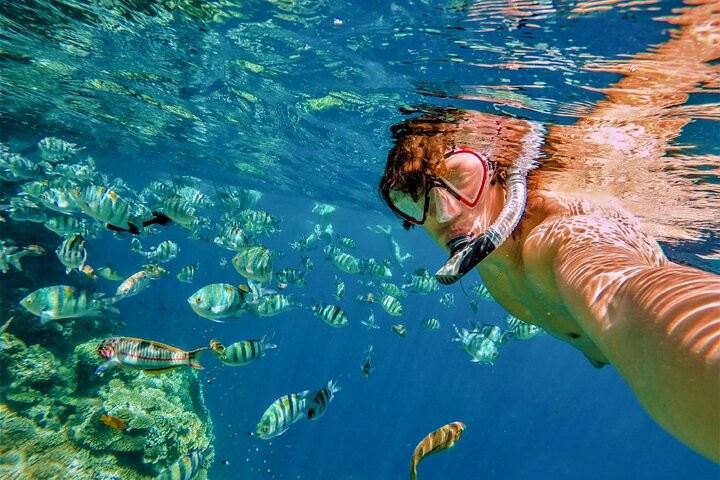 3-Hour Private Pelican Rock Snorkeling and chileno Bay - Photo 1 of 6