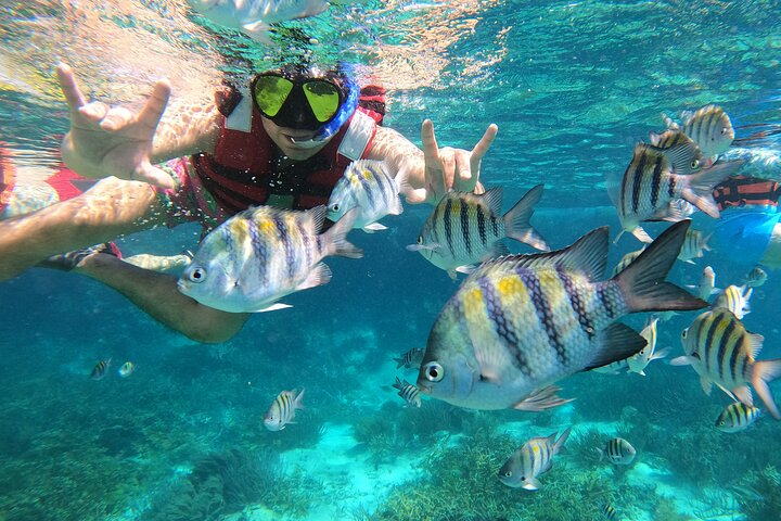 3 Hours VIP Semiprivate Tour Isla Mujeres Full Snorkeling Experience  - Photo 1 of 8