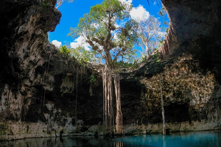 4 Cenotes Full Day Tour from Merida - Photo 1 of 22