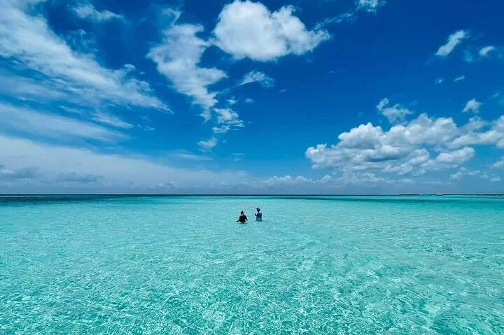 Cozumel: shared snorkel tour in reefs, Cielo and Cielito - Photo 1 of 25