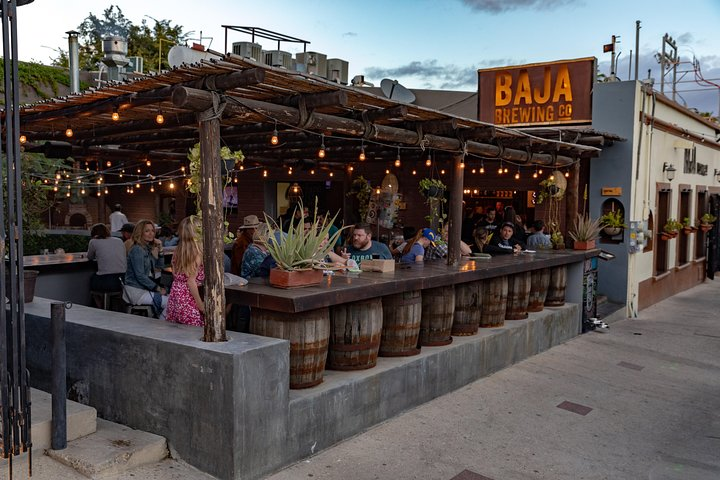 4 Hours Art Walk Experience in Cabo - Photo 1 of 7