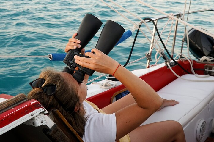 6hrs of Sailing in Bacalar Lagoon: discover Cenotes, Islands and Stromatolites. - Photo 1 of 25