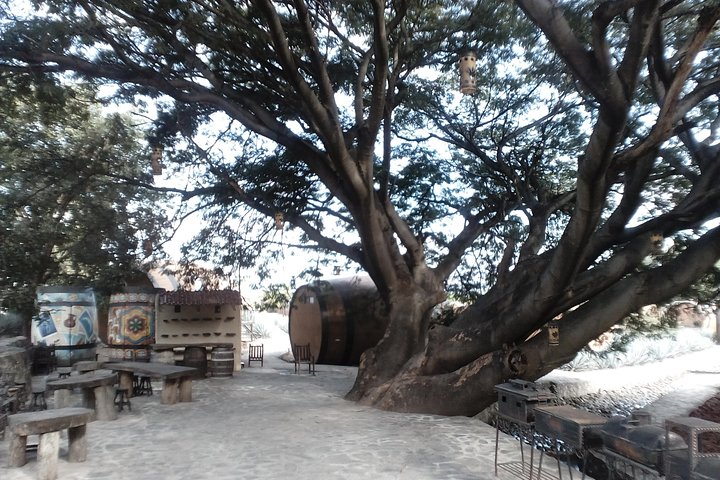 7 day circuit west: México, San Miguel, Guadalajara, Morelia - Photo 1 of 18