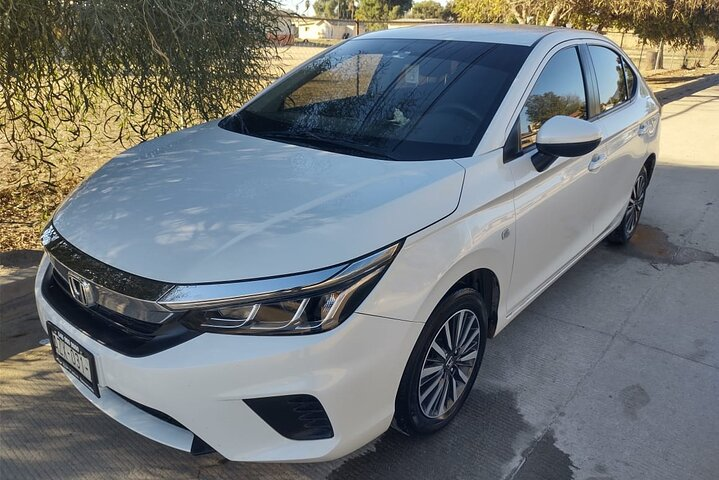 8 Hour Private Tour in the Guadalupe Valley 1-4 Passengers - Photo 1 of 10