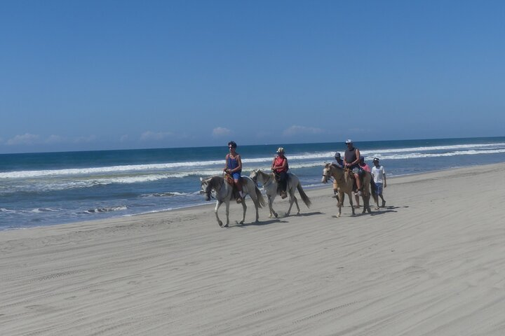 Afro-Mexican Village: Horseback Beach Ride, Crocs & Cliff Diver - Photo 1 of 13