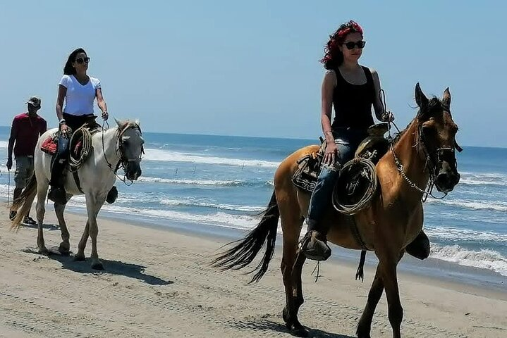 Afro-Mex Village Experience -Horseback Ride -Turtle Hatch & Crocs - Photo 1 of 15
