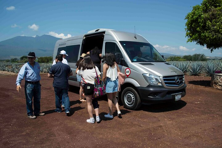 19 pax Van