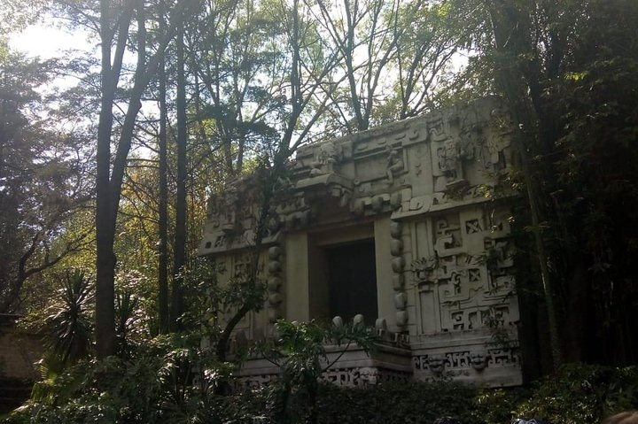 Anthropology Museum: 10 Masterpieces Tour - Photo 1 of 8