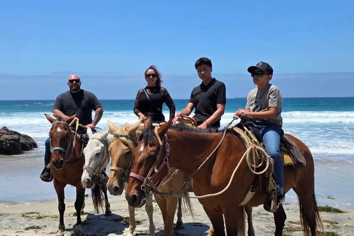Horseback riding on the beach Rosarito + Transportation - Photo 1 of 16