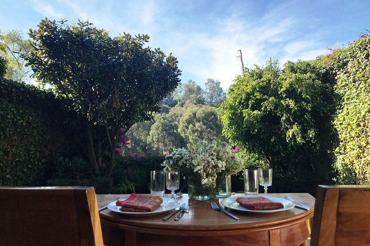 Dine with a local in Mexico City