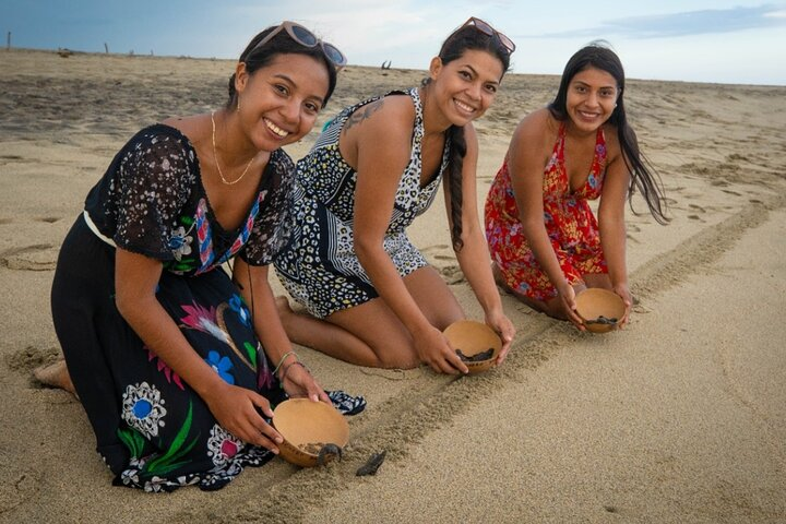 Baby Turtle Release Tour + Pick up + Courtesy in Puerto Escondido! - Photo 1 of 8