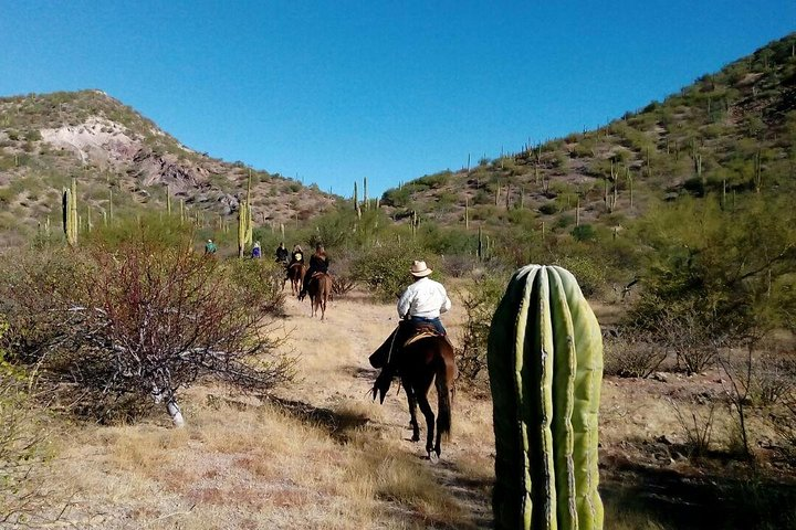 Baja Desert Horseback Riding Tour - Photo 1 of 5