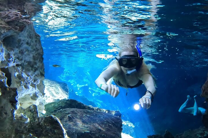 Best in Class: Private Snorkeling Xpedition - Photo 1 of 6