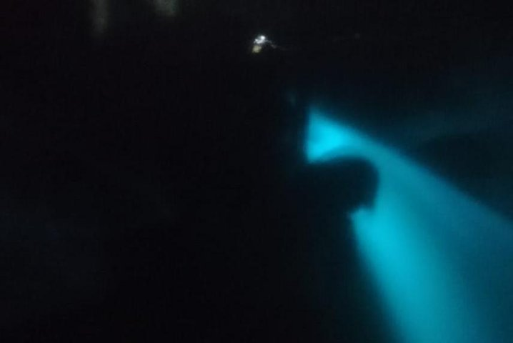 Bioluminescence swim with stars - Photo 1 of 6